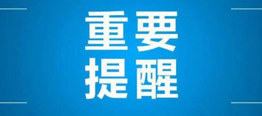 2024年12月6日 第31页