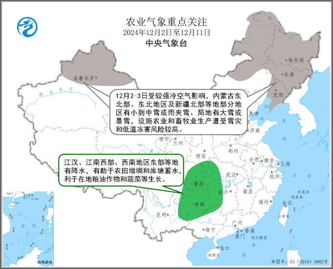 2024年12月11日 第14页