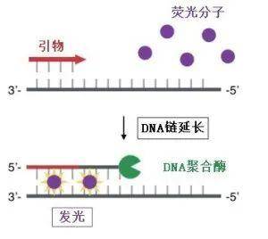 2024年12月13日 第7页