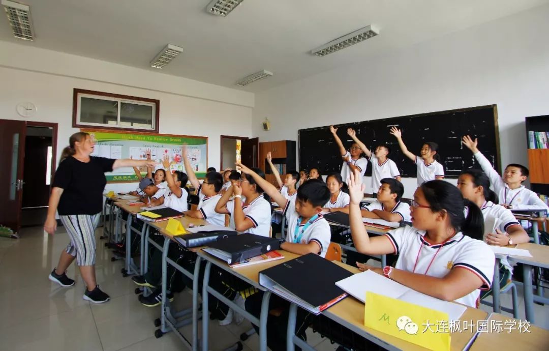 12月小学生实时上课，探索与体验之旅