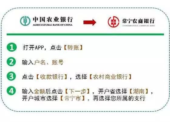 邮政银行转账延迟原因解析及解决方案