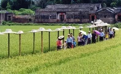 落实农业 旅游：农业旅游存在的问题及对策 