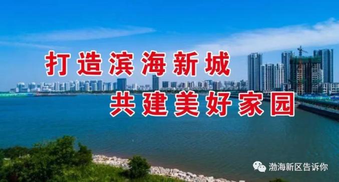 宁河区高效全网营销：宁河区高效全网营销公司 