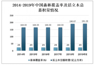 揭秘林帘辰最新动向，深度解析其最新进展与动向解析