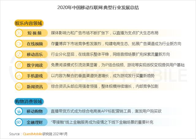 31日最新群名称及其背后的文化现象与个人观点探析